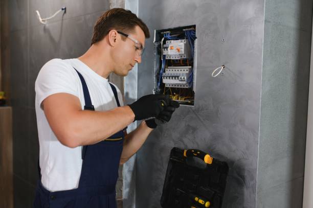 Best Electrical Rewiring Services  in La Crescent, MN